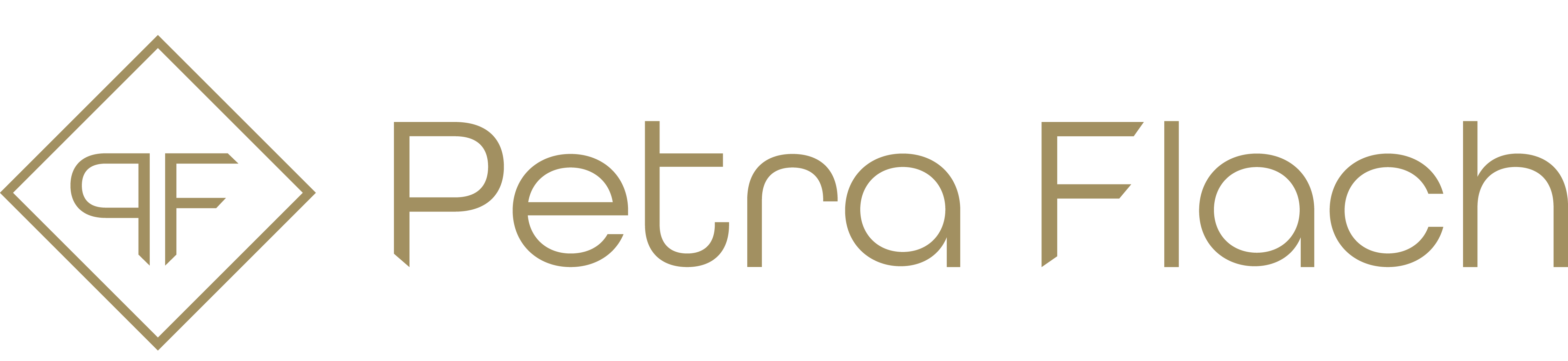 logo partner