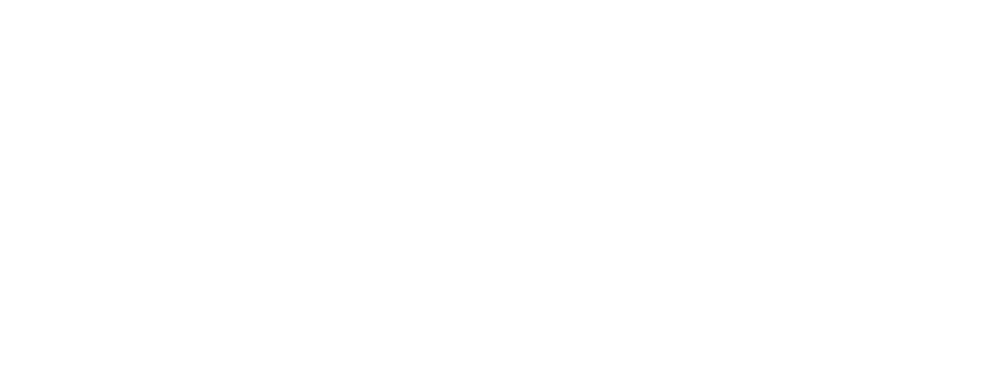 logo partner