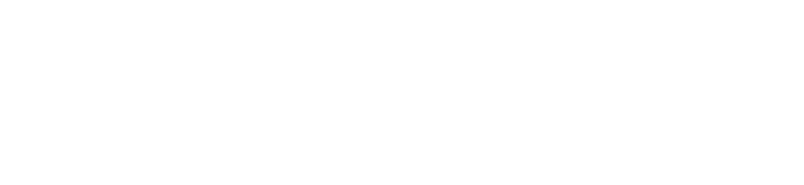 logo partner