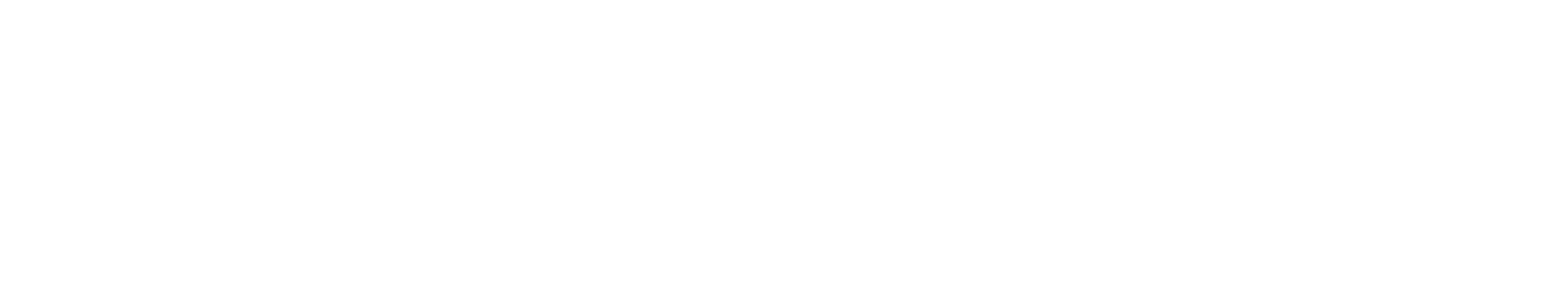 logo partner
