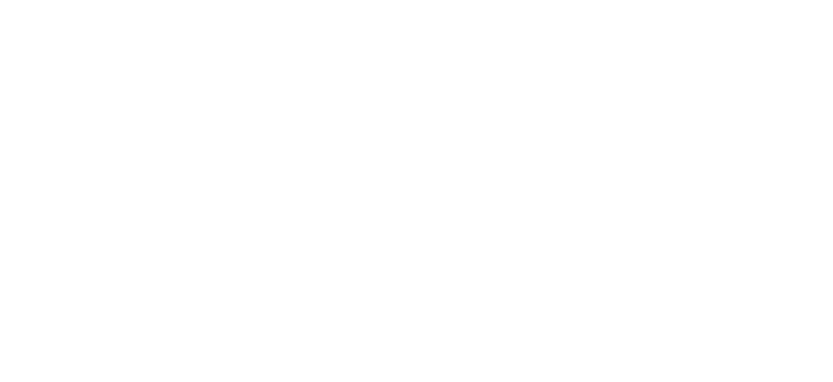logo partner