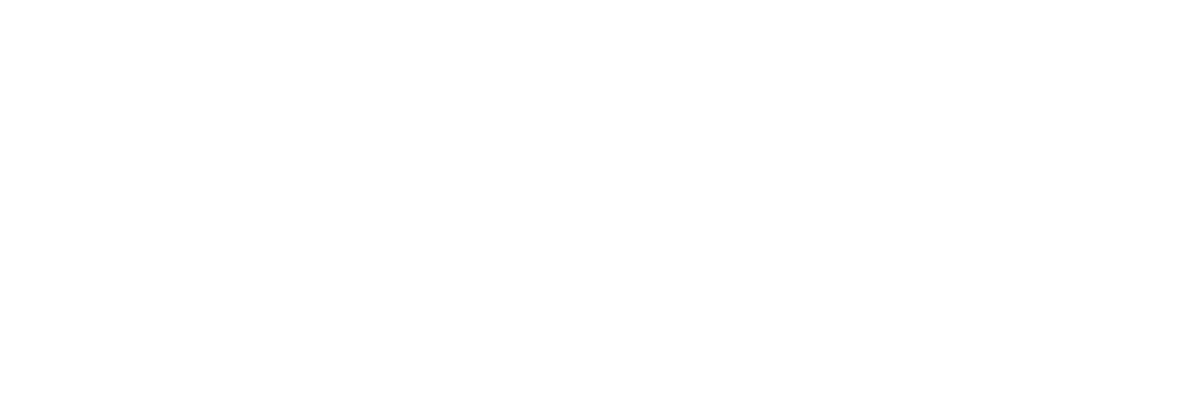 logo partner