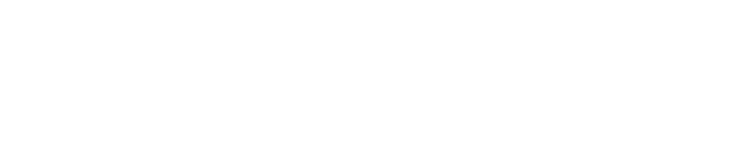 logo partner