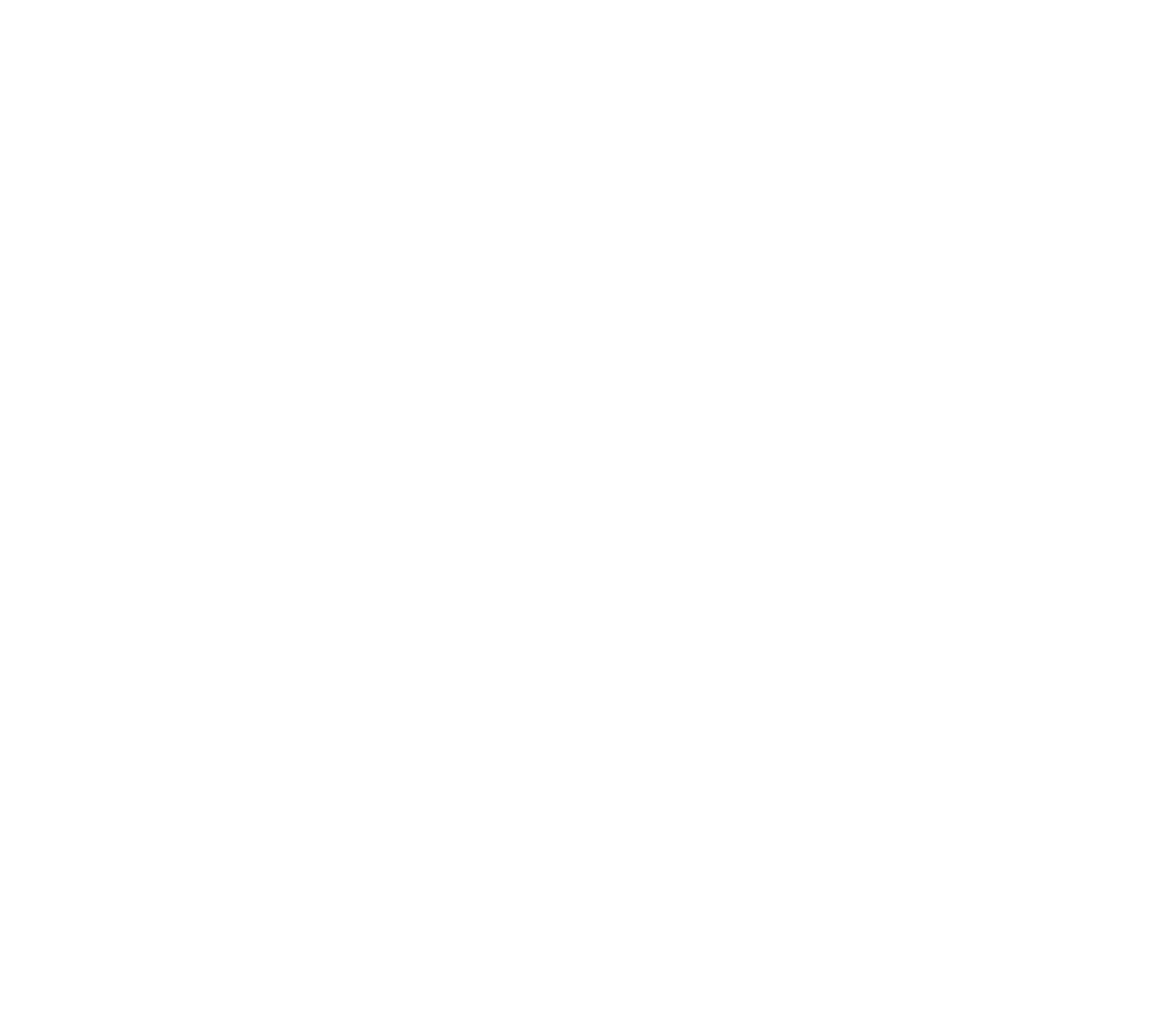 logo partner
