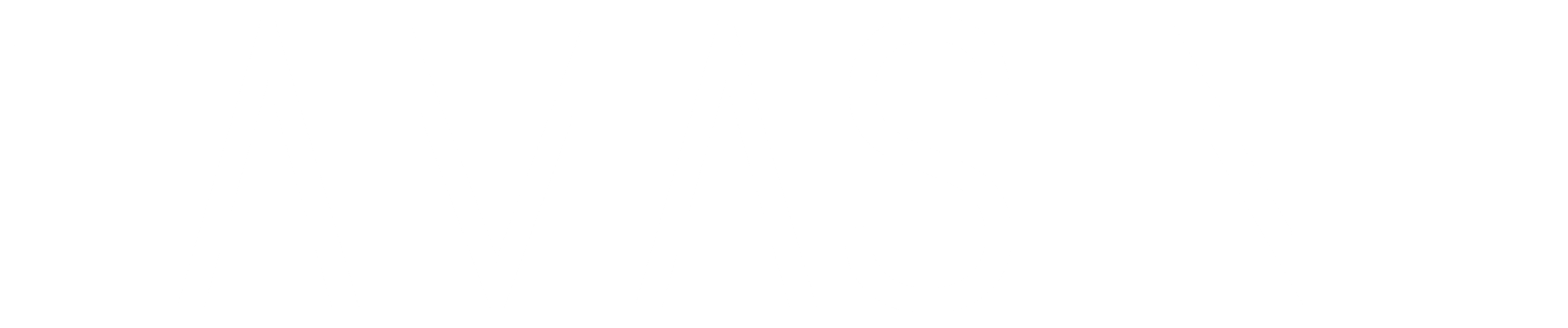 logo partner