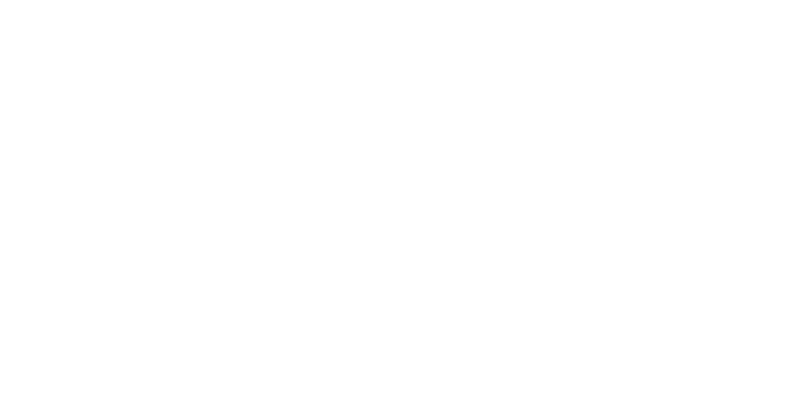 logo partner