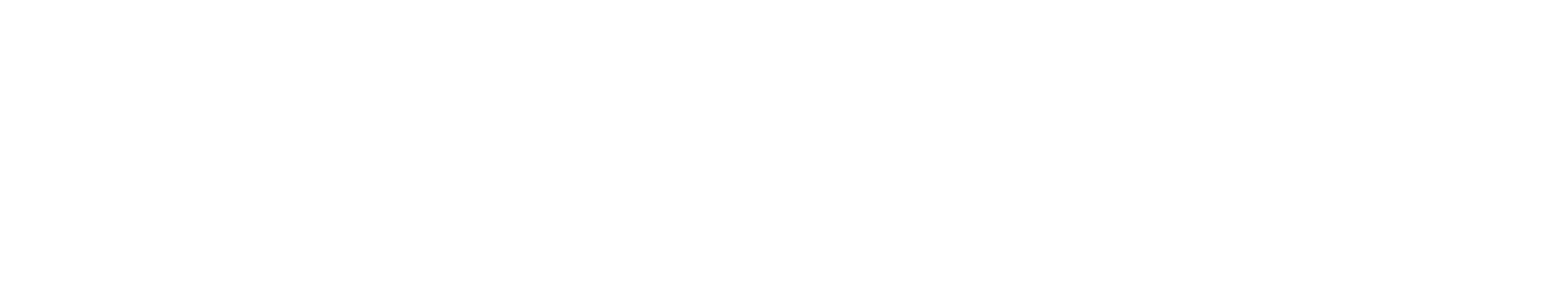 logo partner