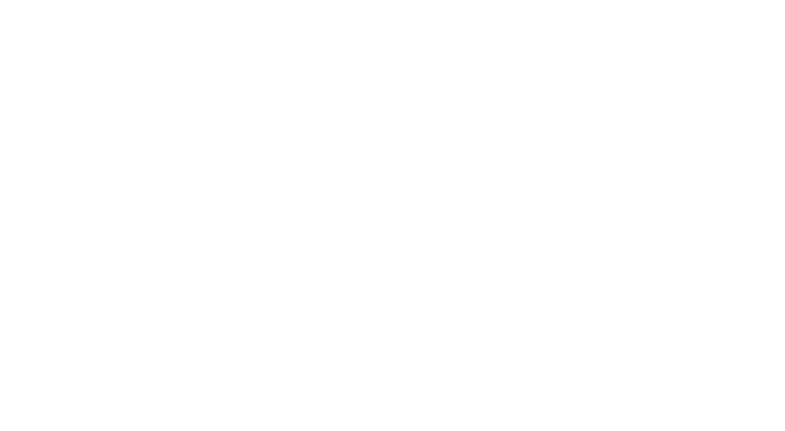 logo partner