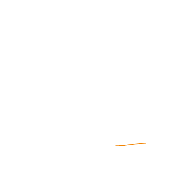 logo partner