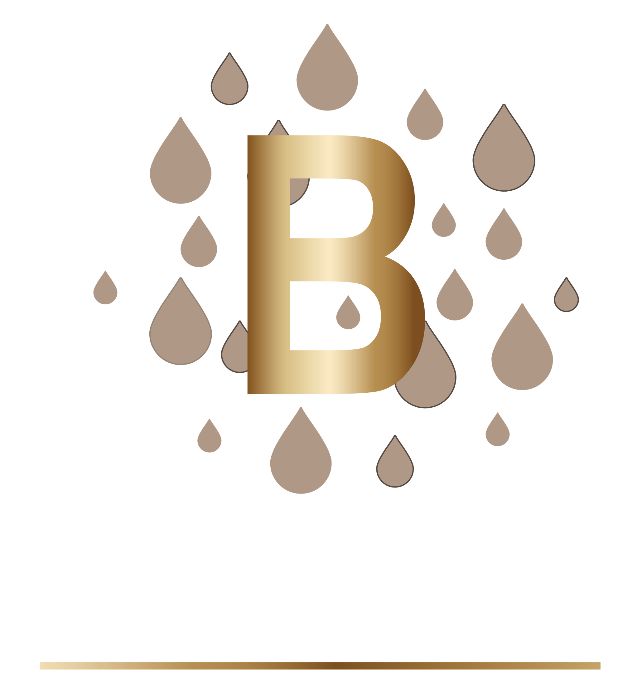 logo partner
