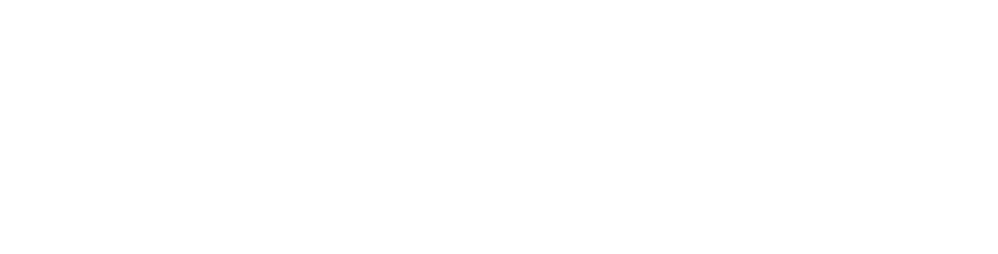 logo partner