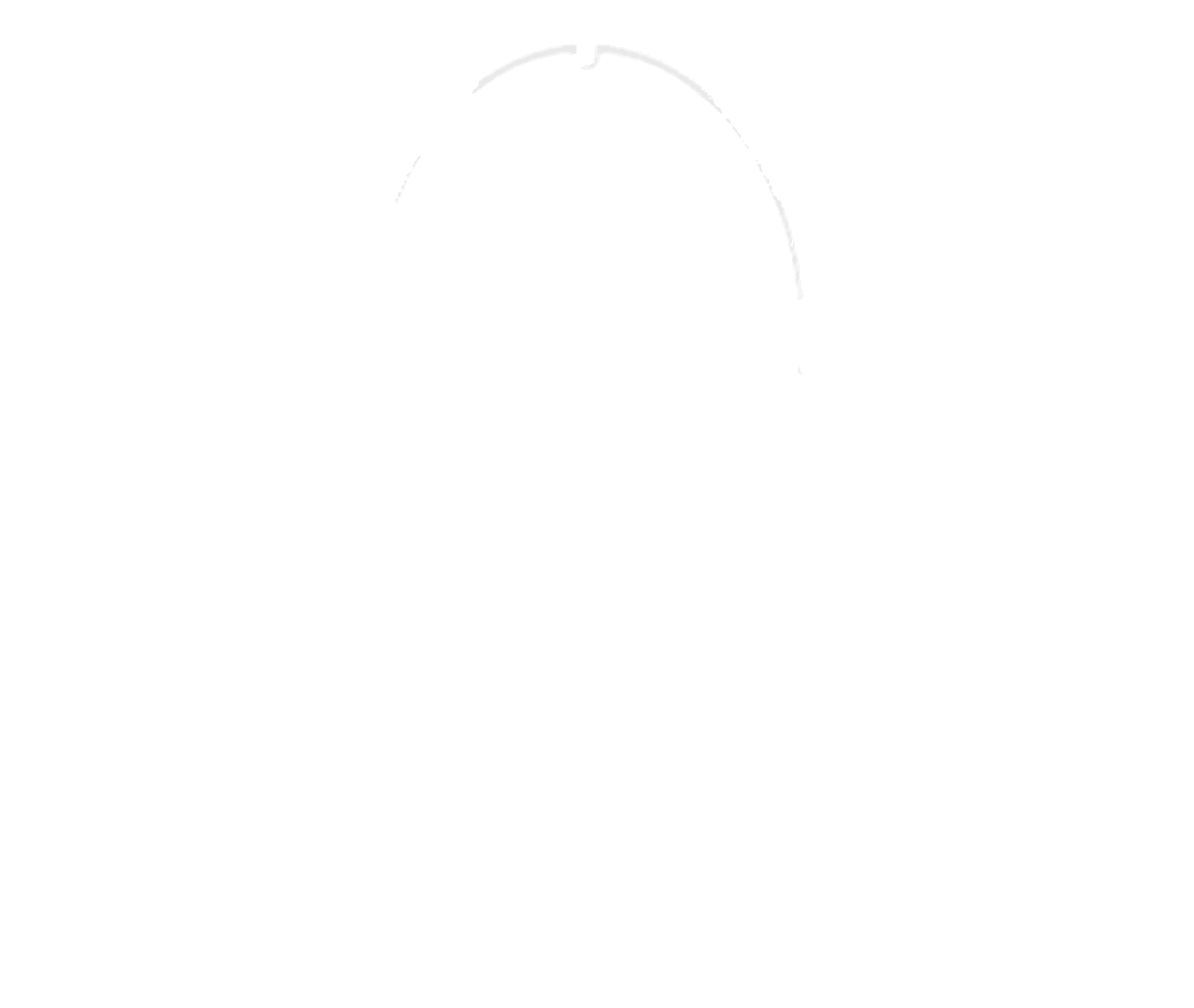 logo partner