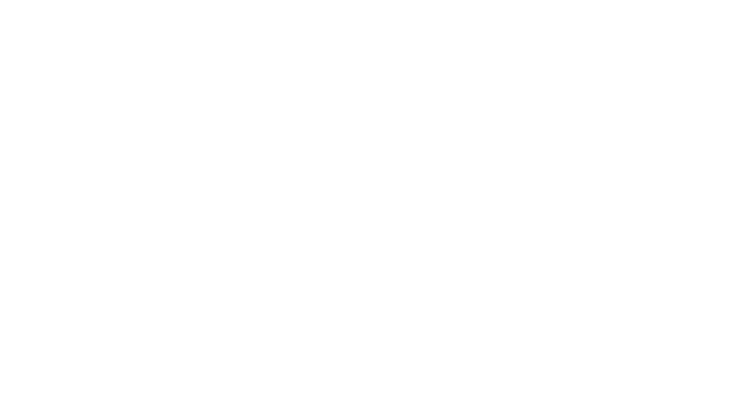logo partner