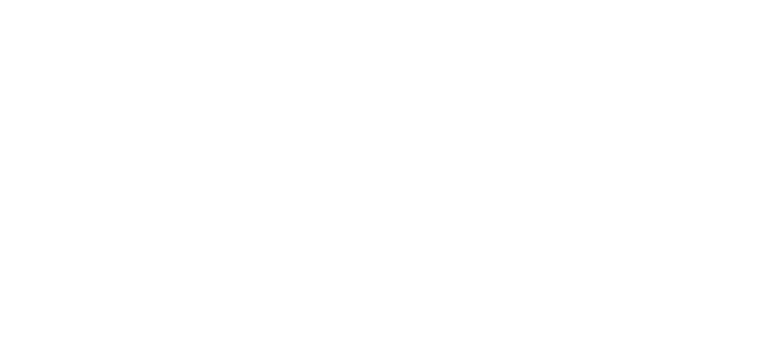 logo partner