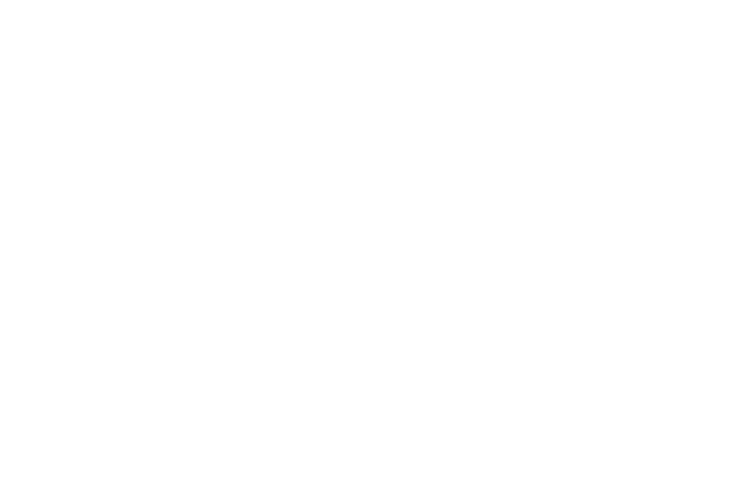 logo partner