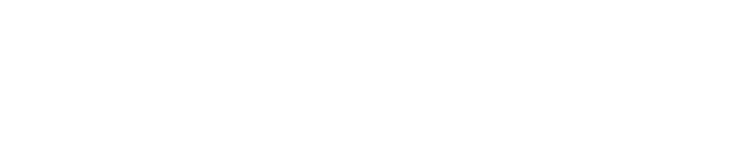 logo partner