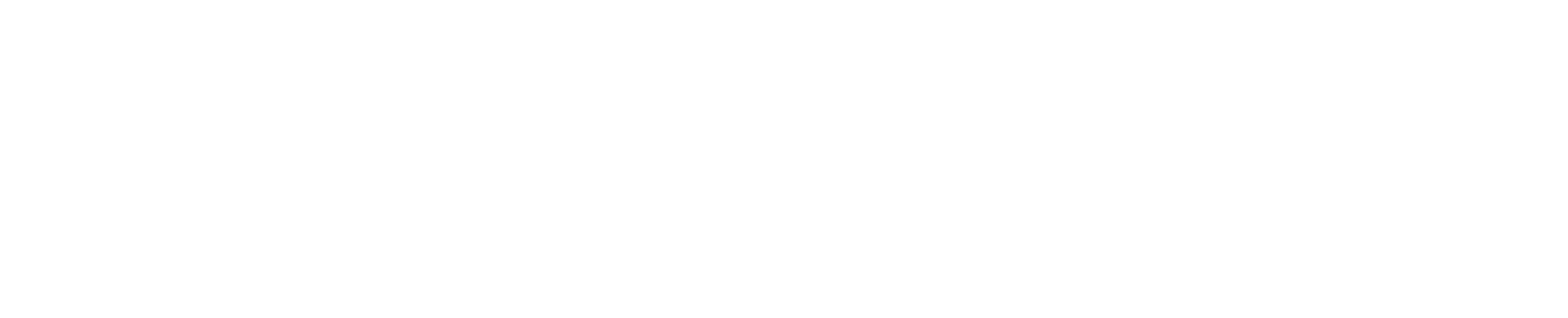 logo partner