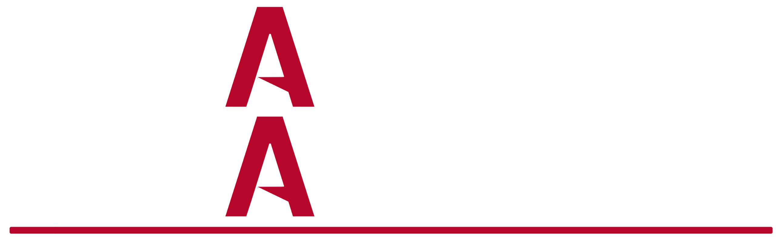 logo partner
