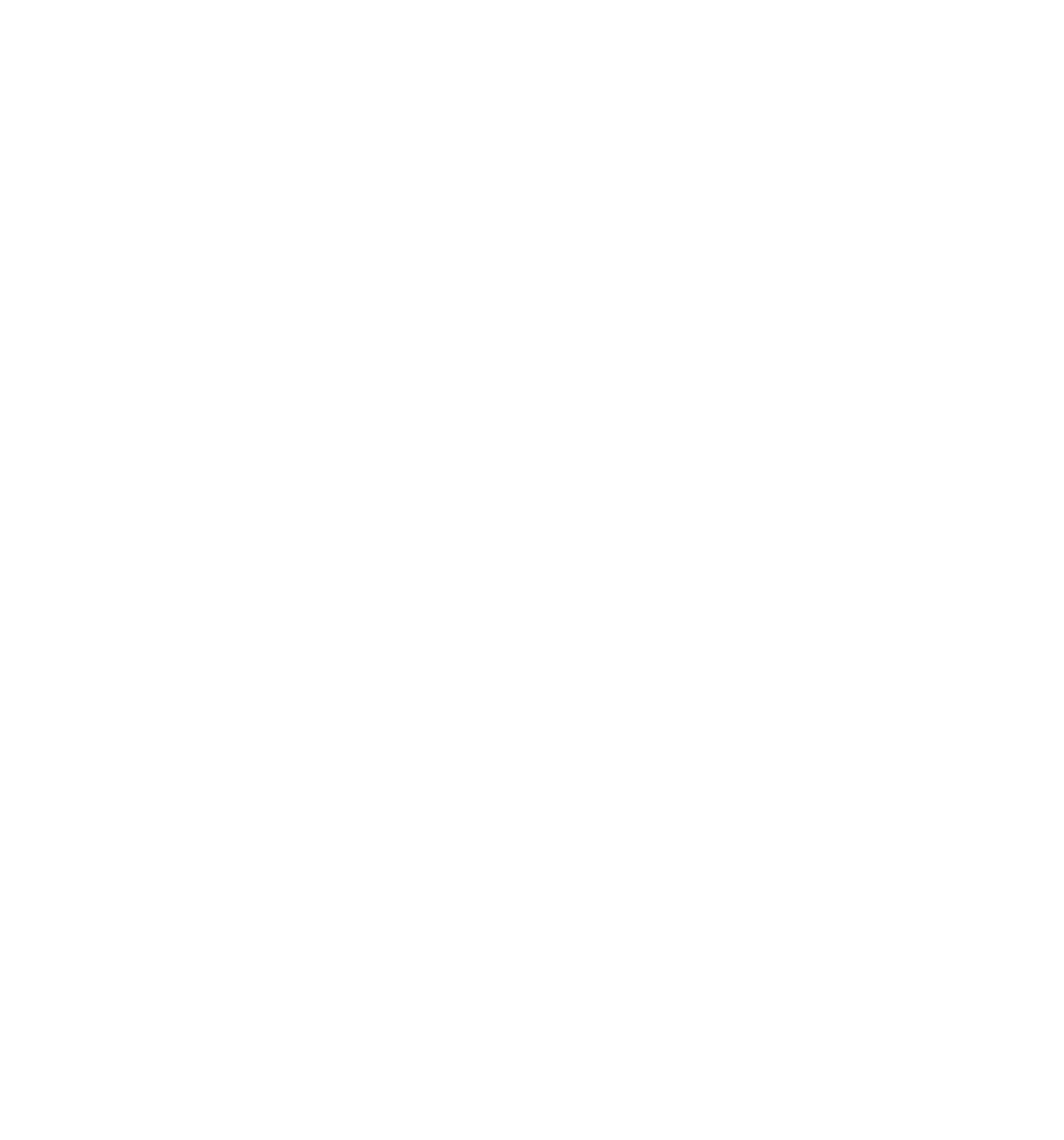 logo partner