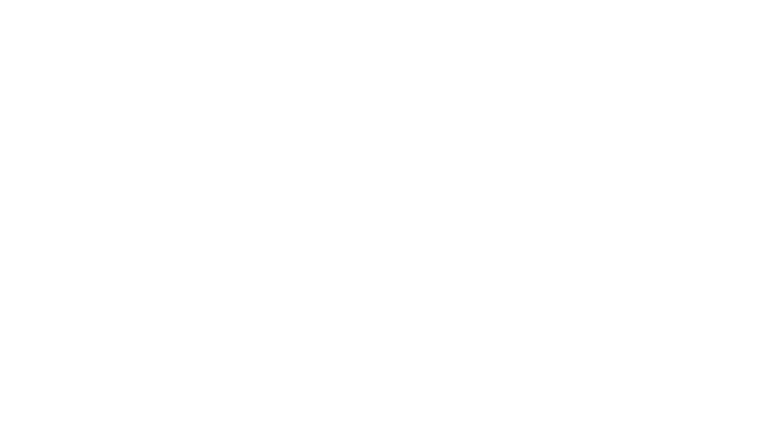 logo partner