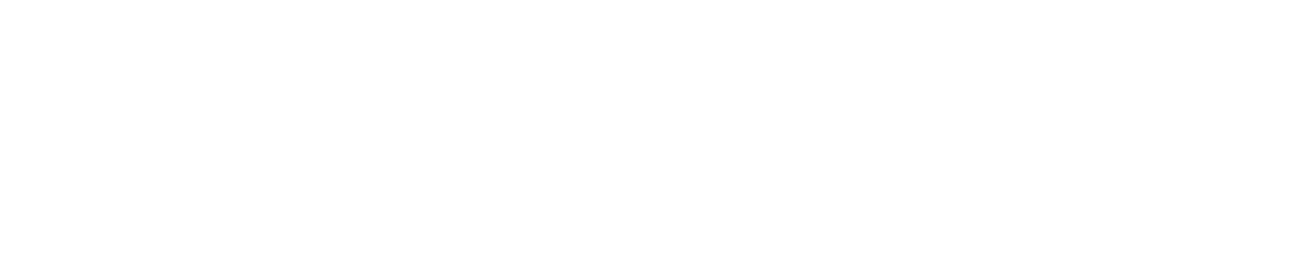logo partner