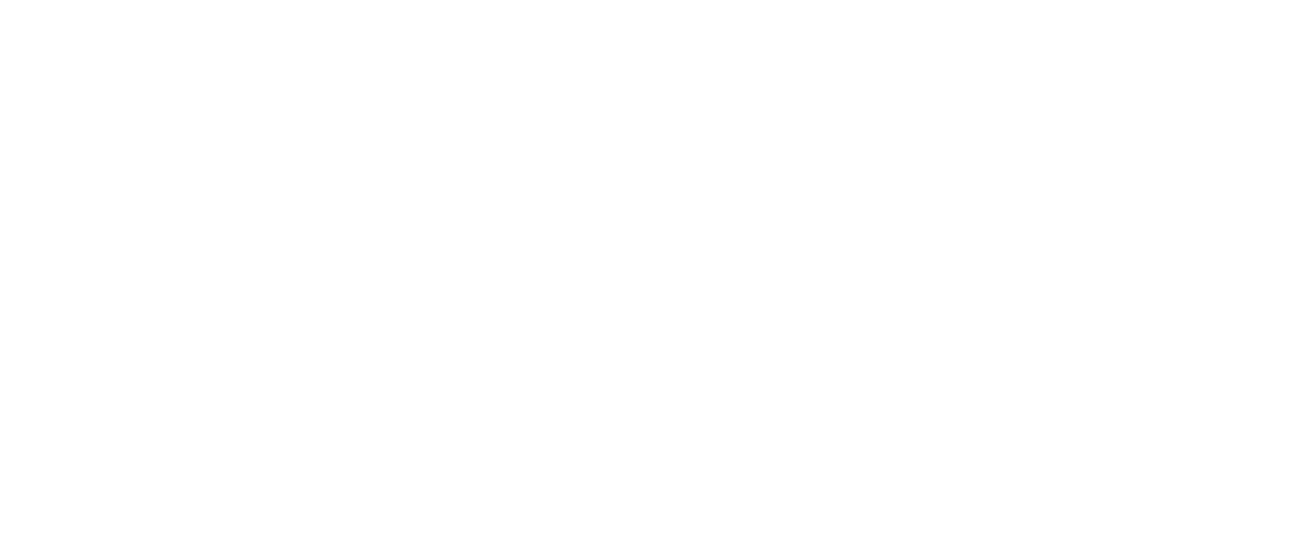 logo partner