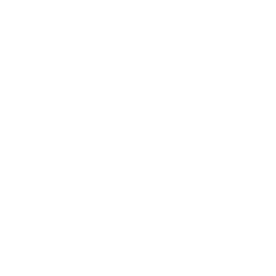 logo partner