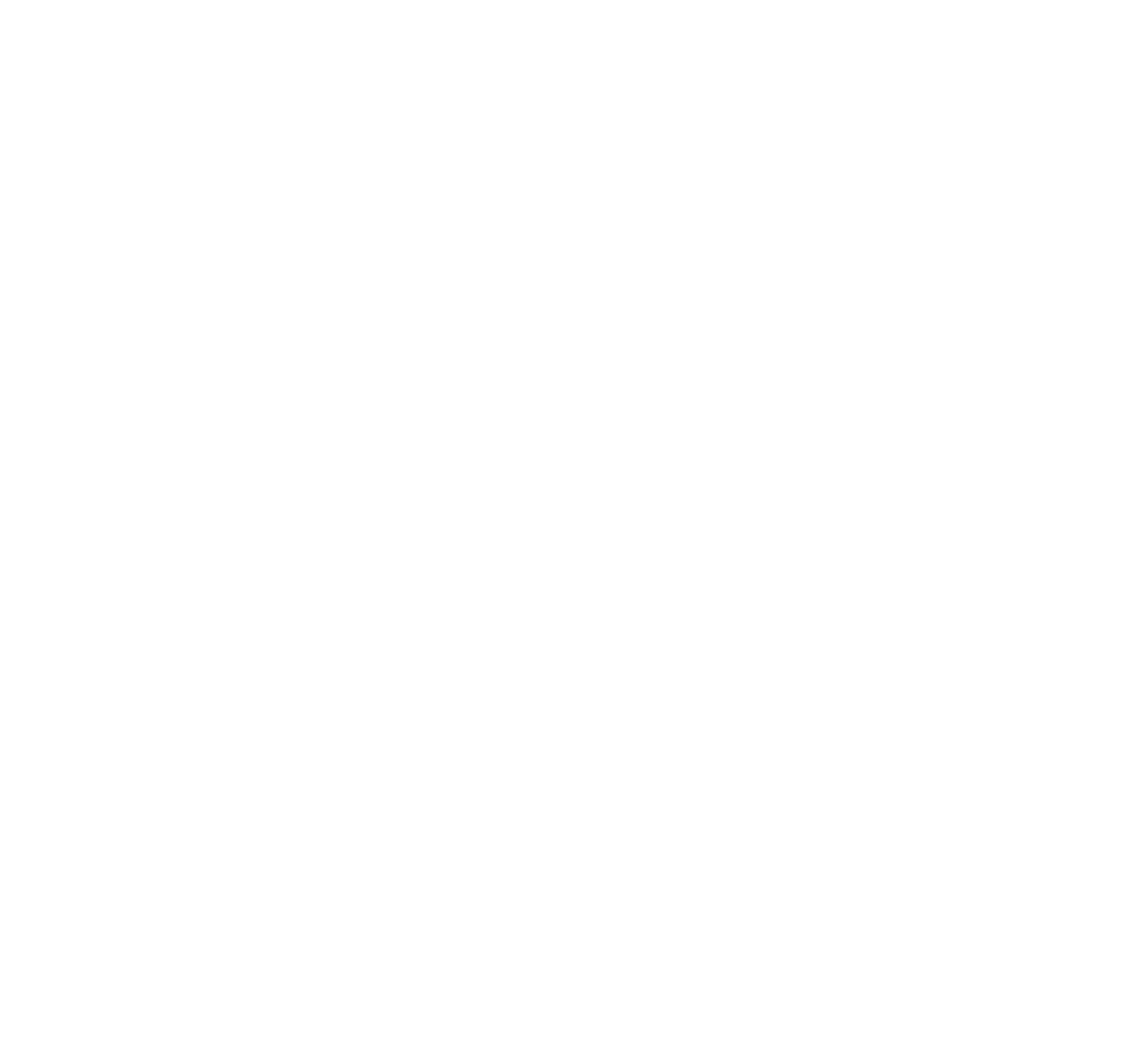 logo partner