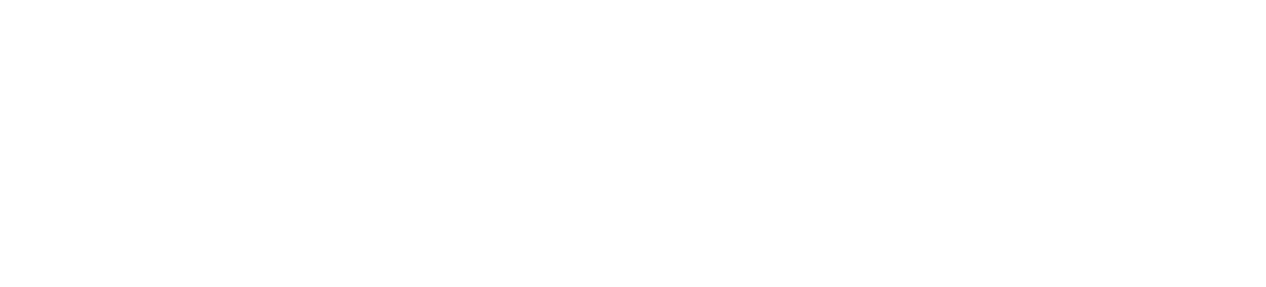 logo partner