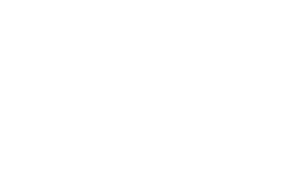 logo partner