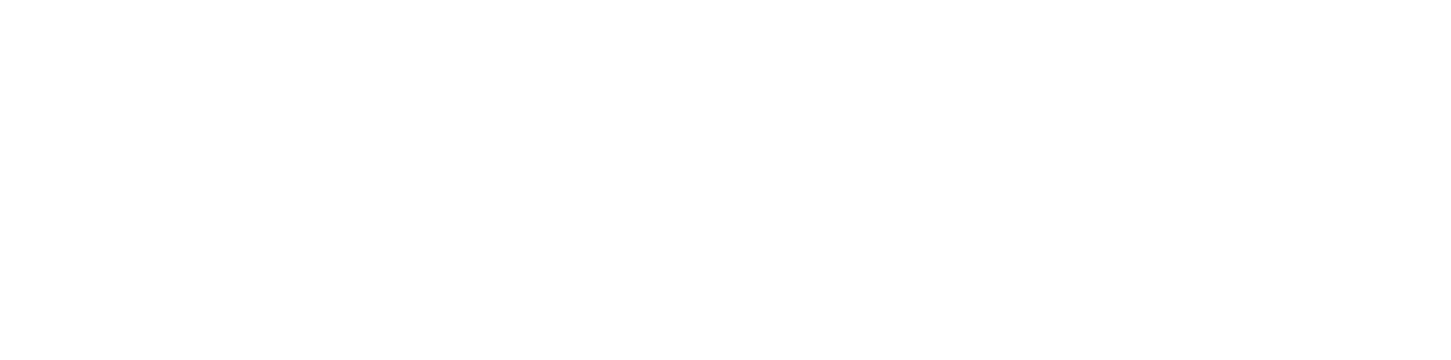 logo partner