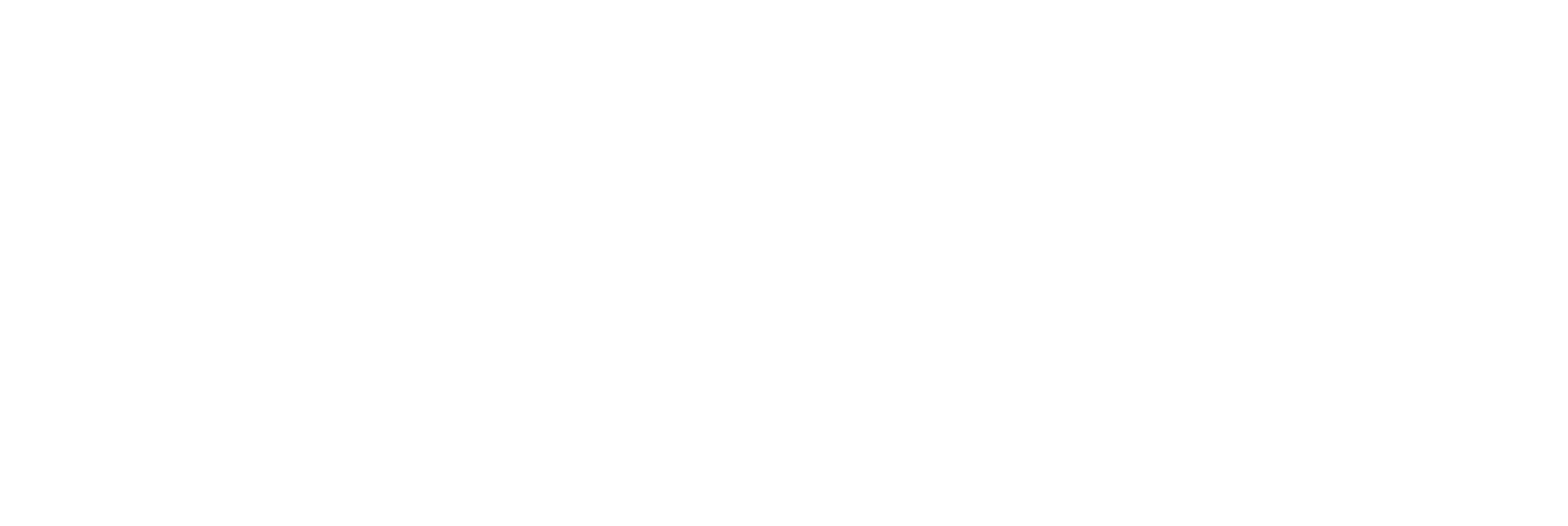 logo partner