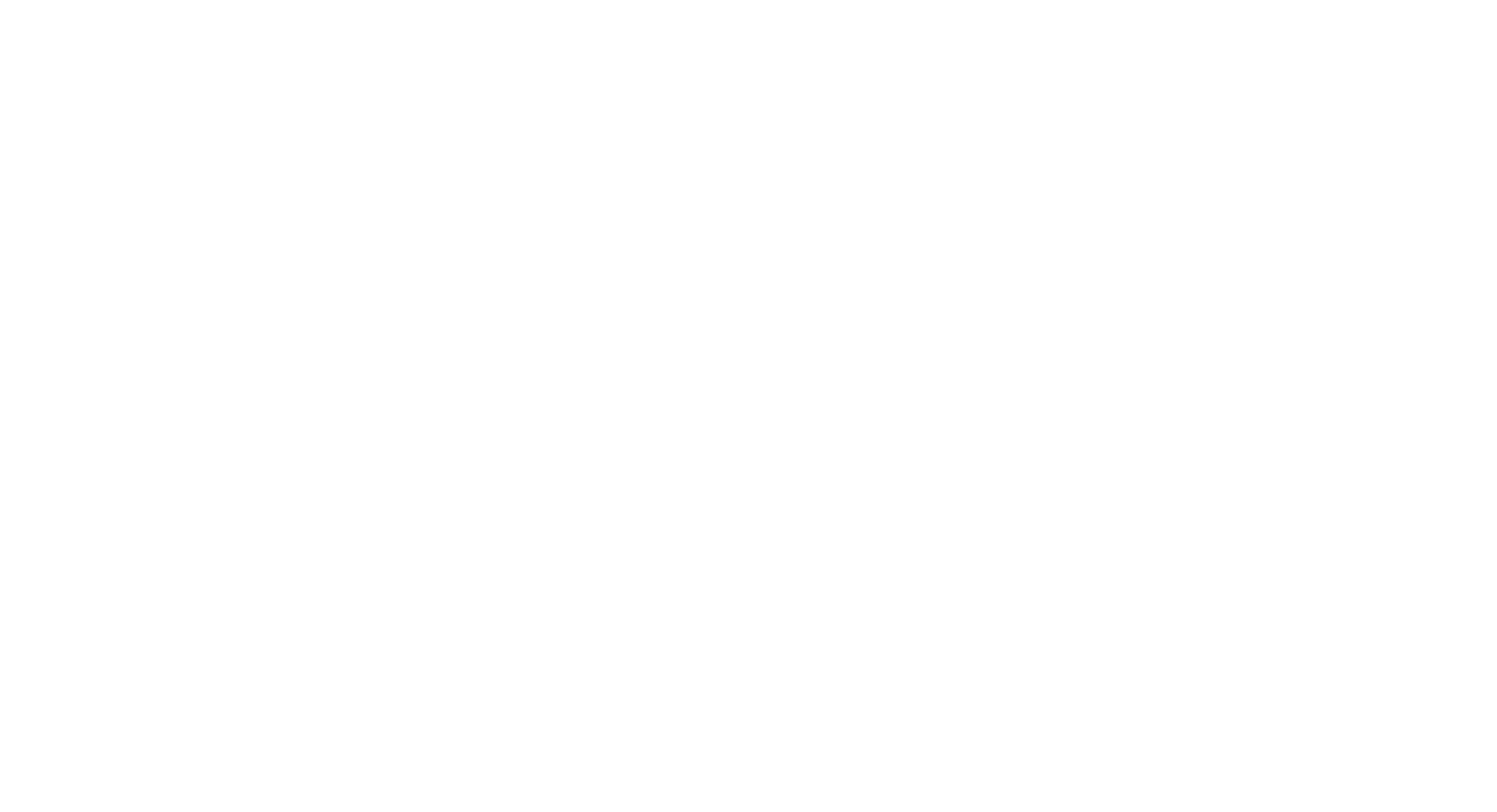 logo partner