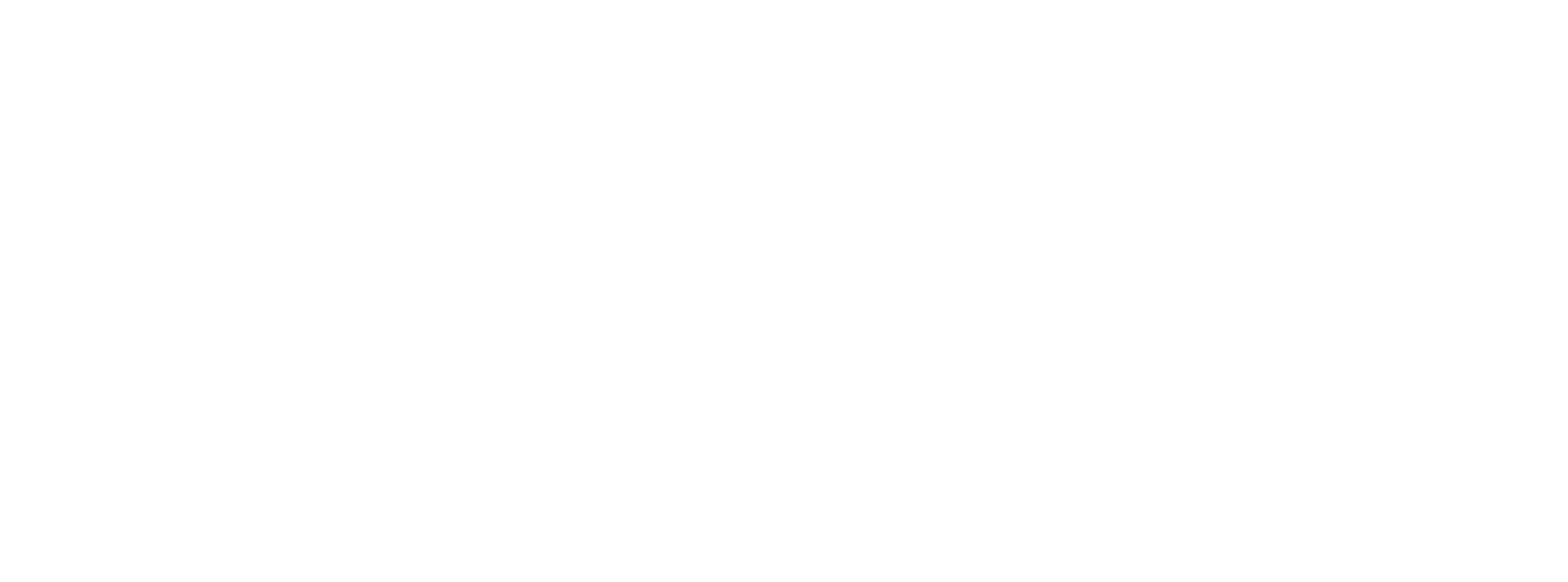 logo partner