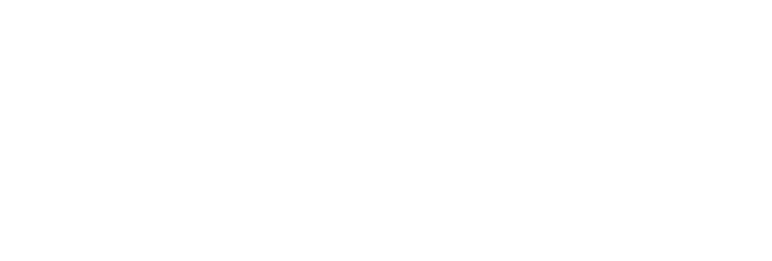 logo partner