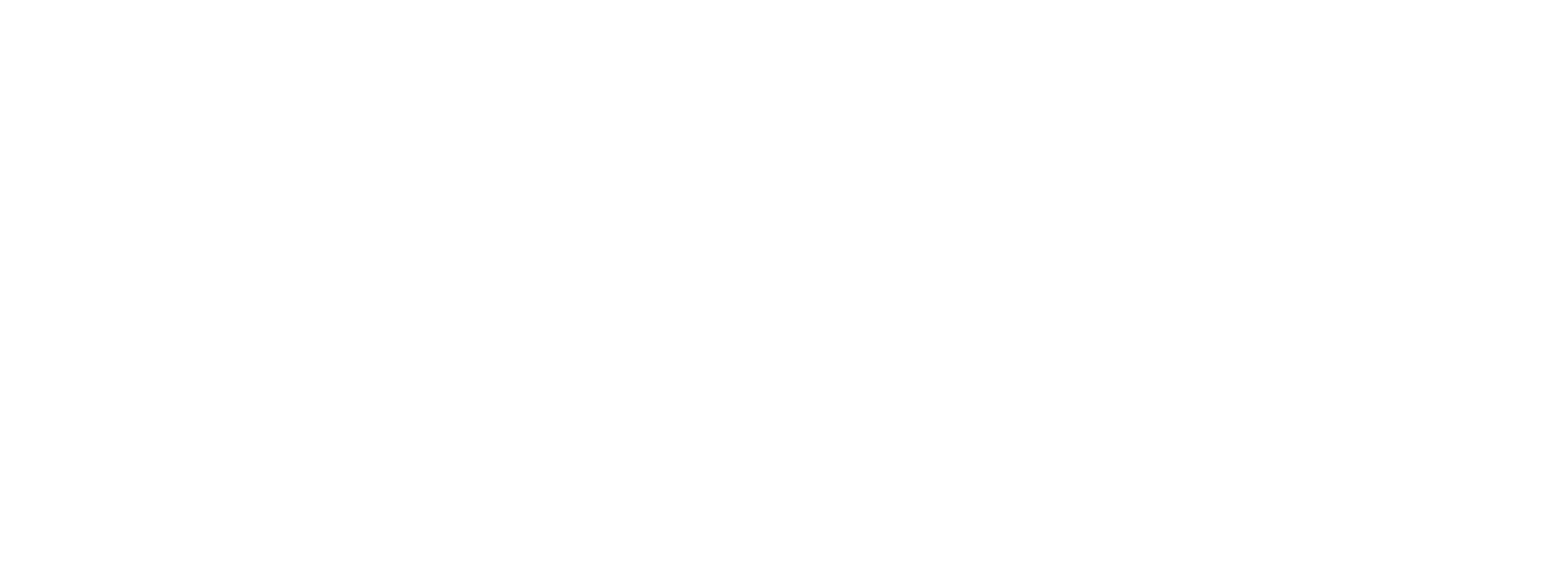 logo partner