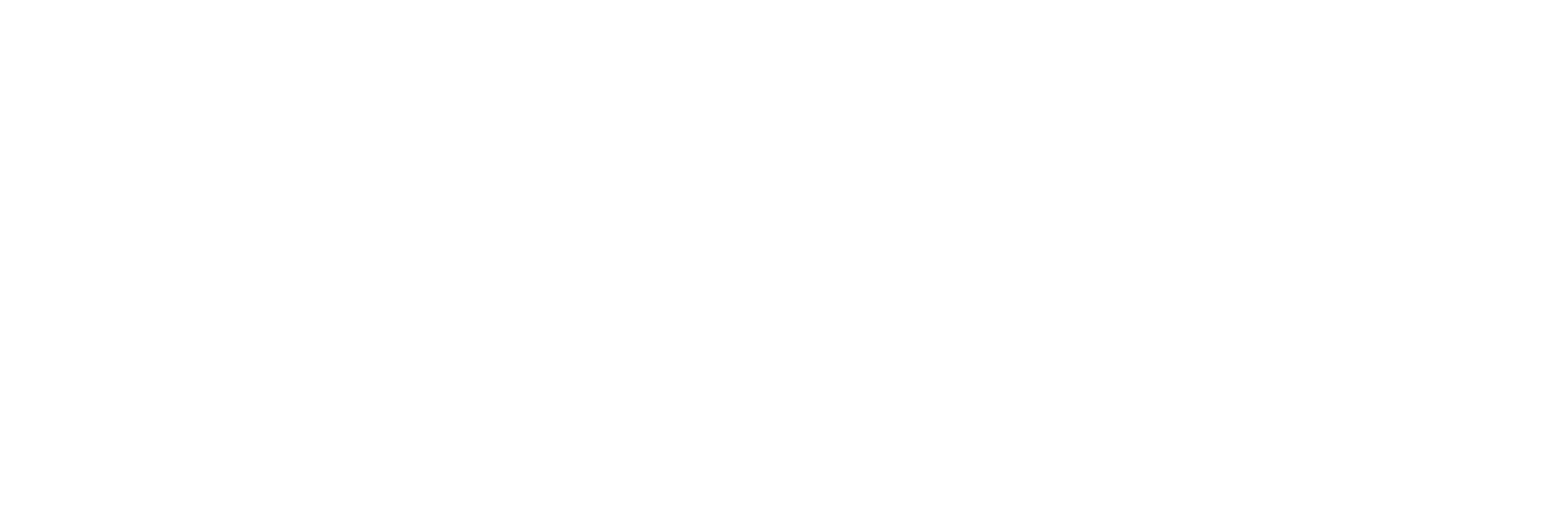 logo partner