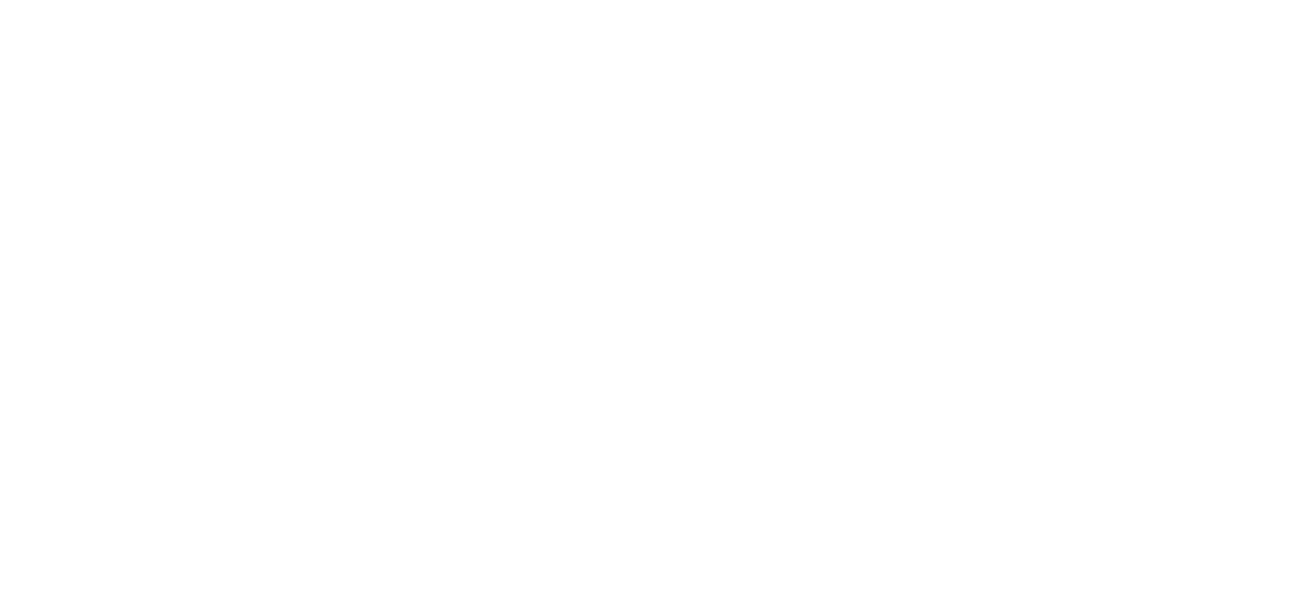 logo partner