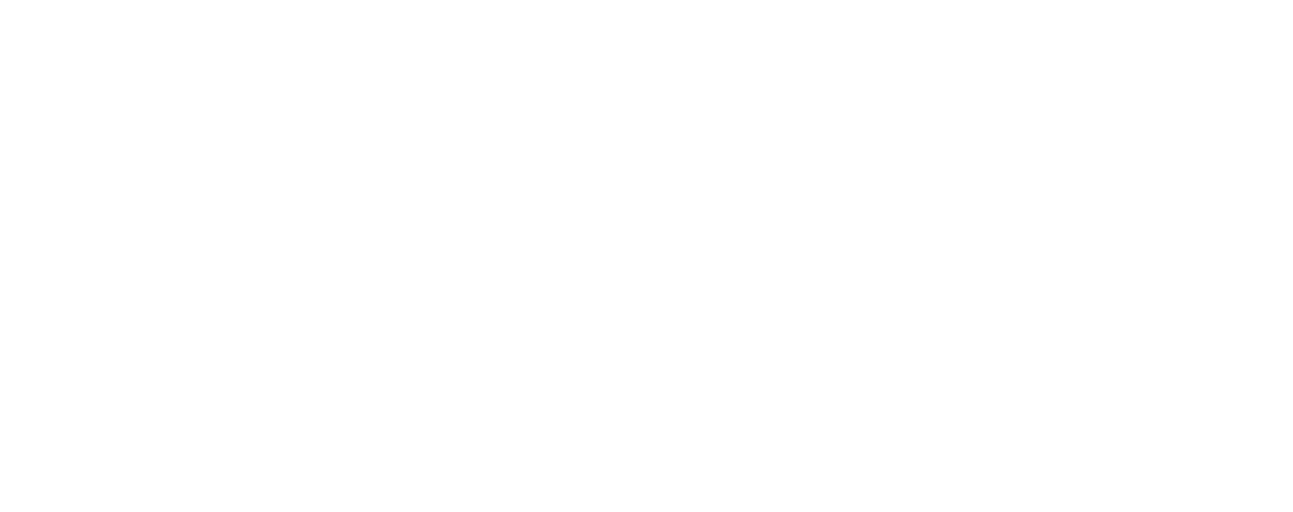 logo partner