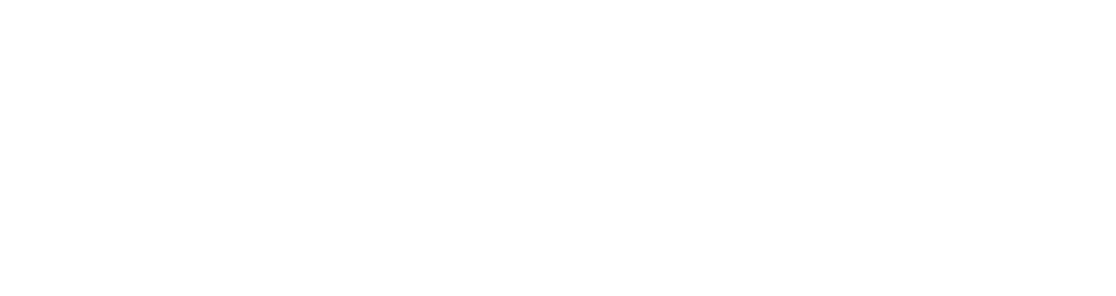 logo partner