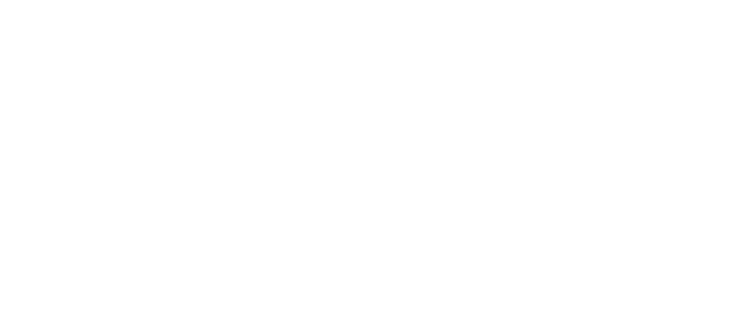 logo partner