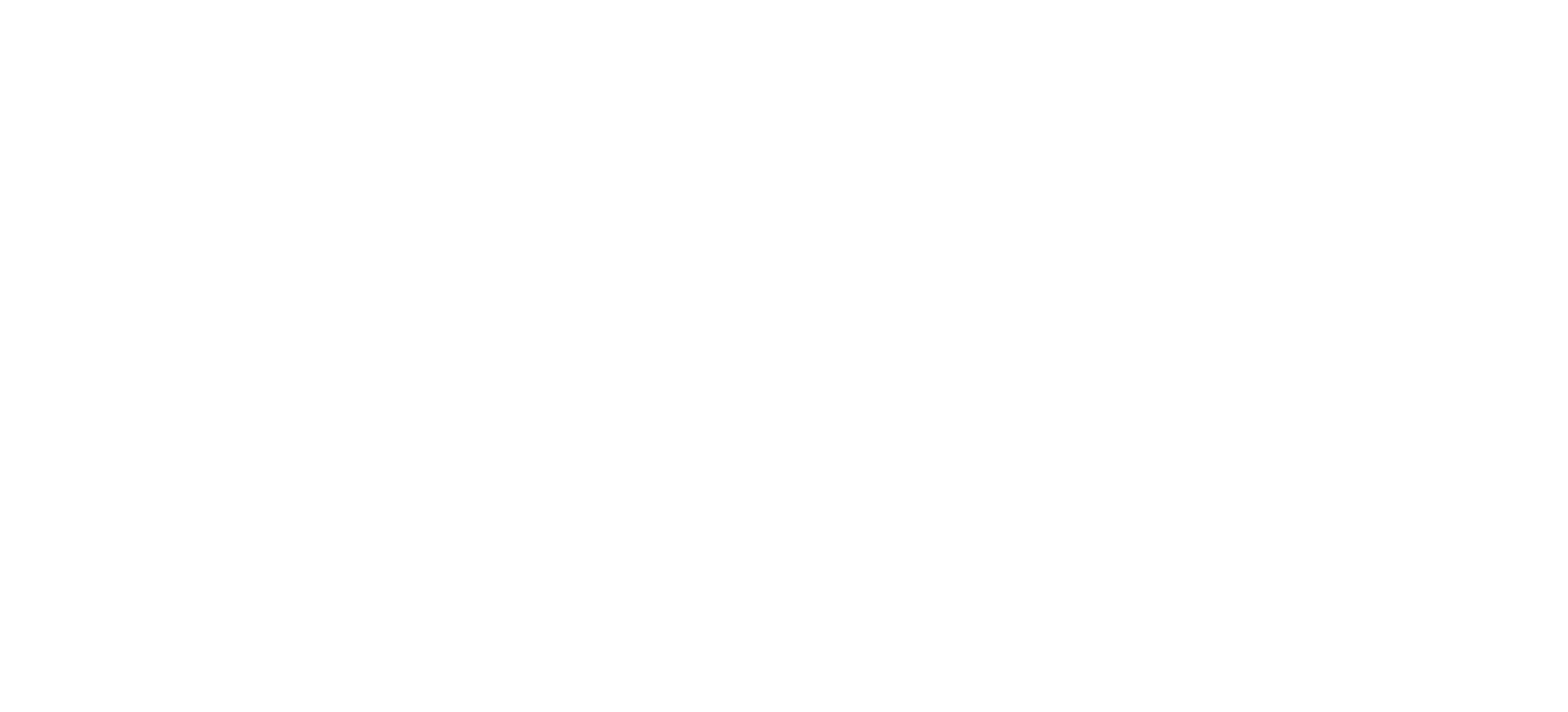logo partner
