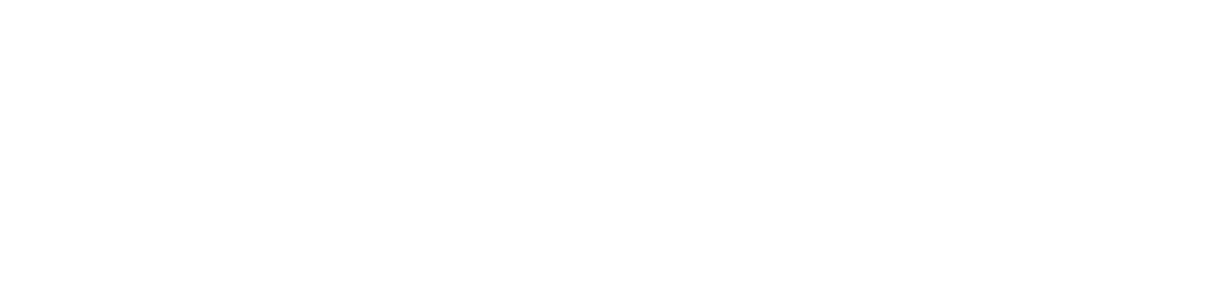 logo partner