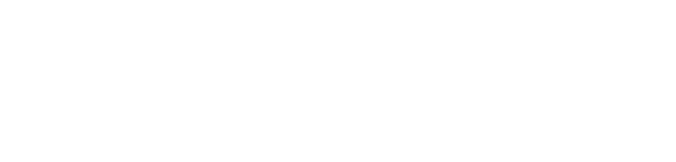 logo partner