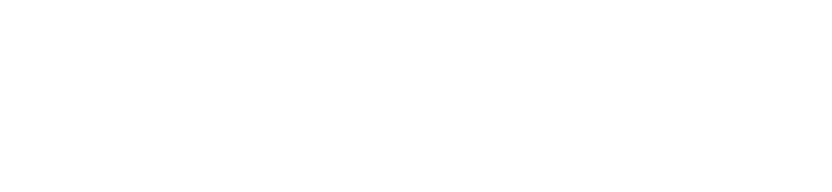 logo partner